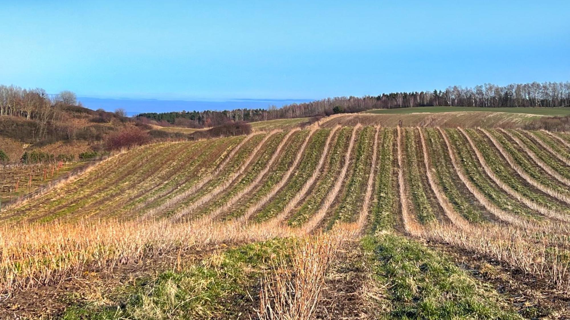 Osada Nad Zalewem Villa Tolkmicko Kültér fotó